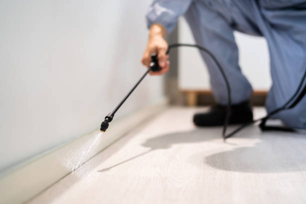 Rodent Entry Point Assessment in Compton