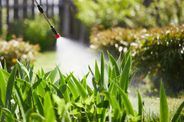 Tamper-Resistant Bait Stations for Rodents in Compton