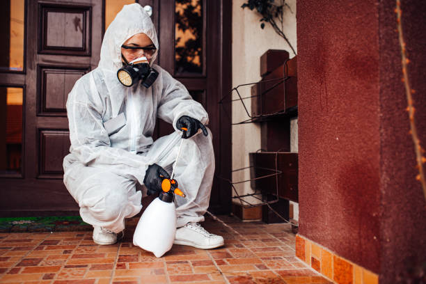 Attic and Crawl Space Rodent Treatment in Compton